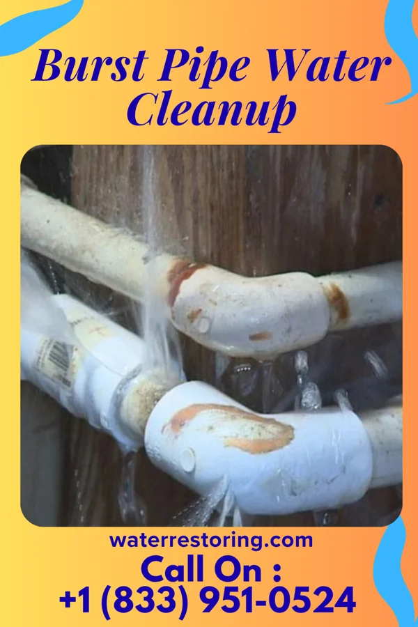 Burst Pipe Water Cleanup in Emporia, VA