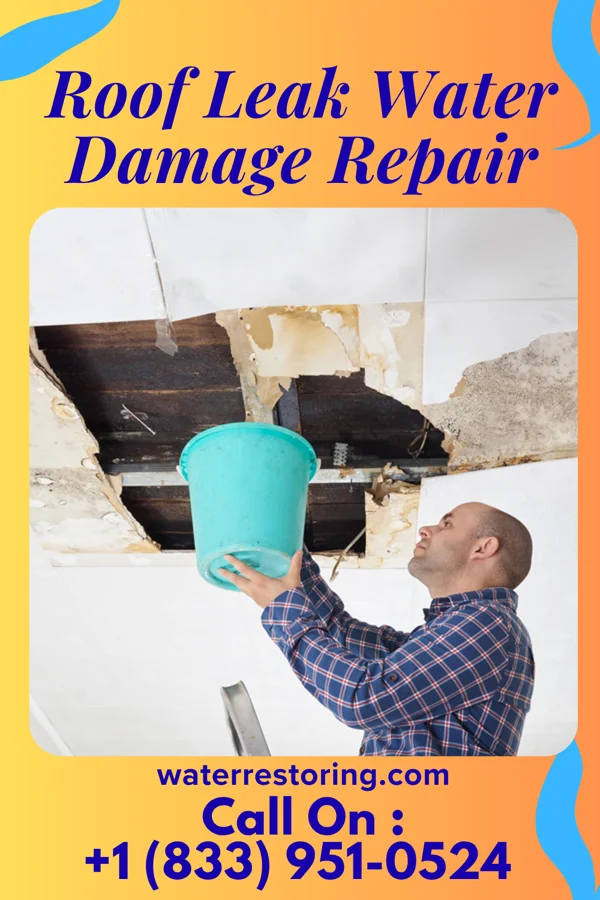 Roof Leak Water Damage Repair in Emporia, VA