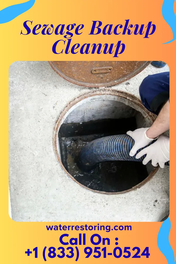 Sewage Backup Cleanup in Emporia, VA